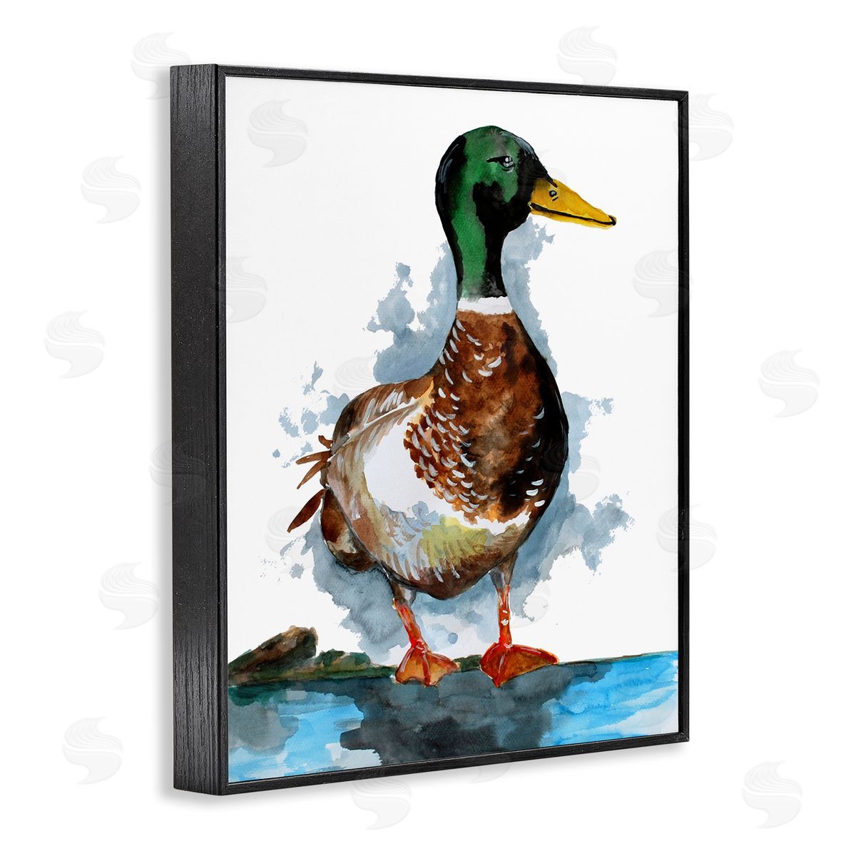 Sebastian Grafmann Mallard Duck Water's Edge 