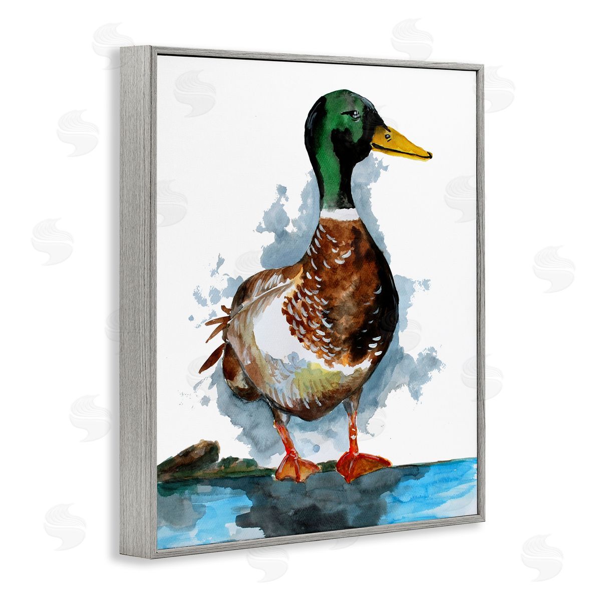 Sebastian Grafmann Mallard Duck Water's Edge 