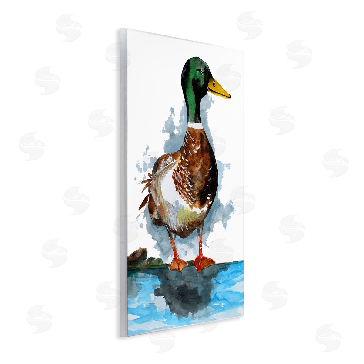 Sebastian Grafmann Mallard Duck Water's Edge 