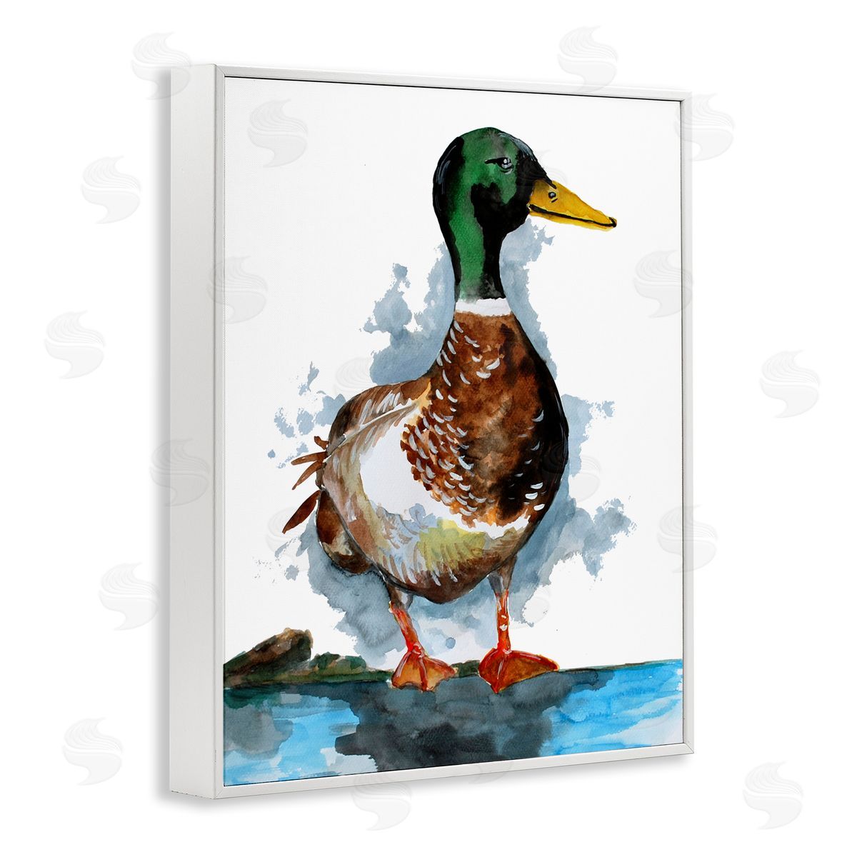 Sebastian Grafmann Mallard Duck Water's Edge 