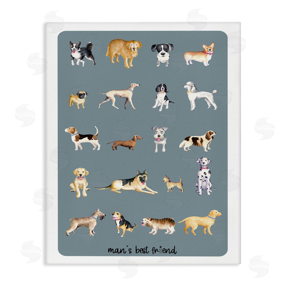 Andi Metz Man's Best fr_sideiend Dog Breeds