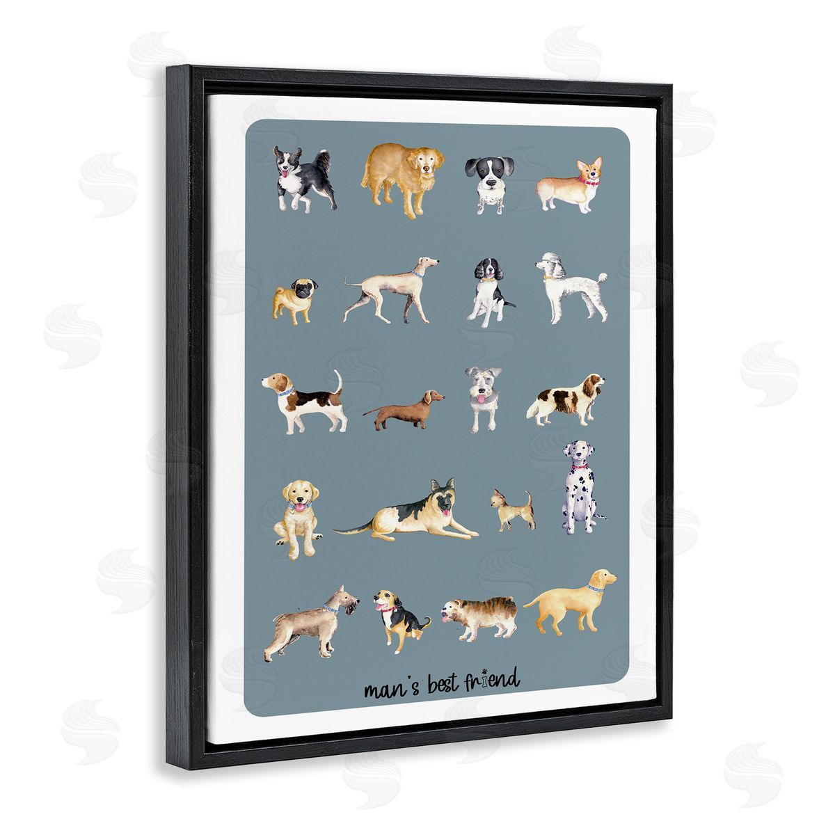 Andi Metz Man's Best fr_sideiend Dog Breeds