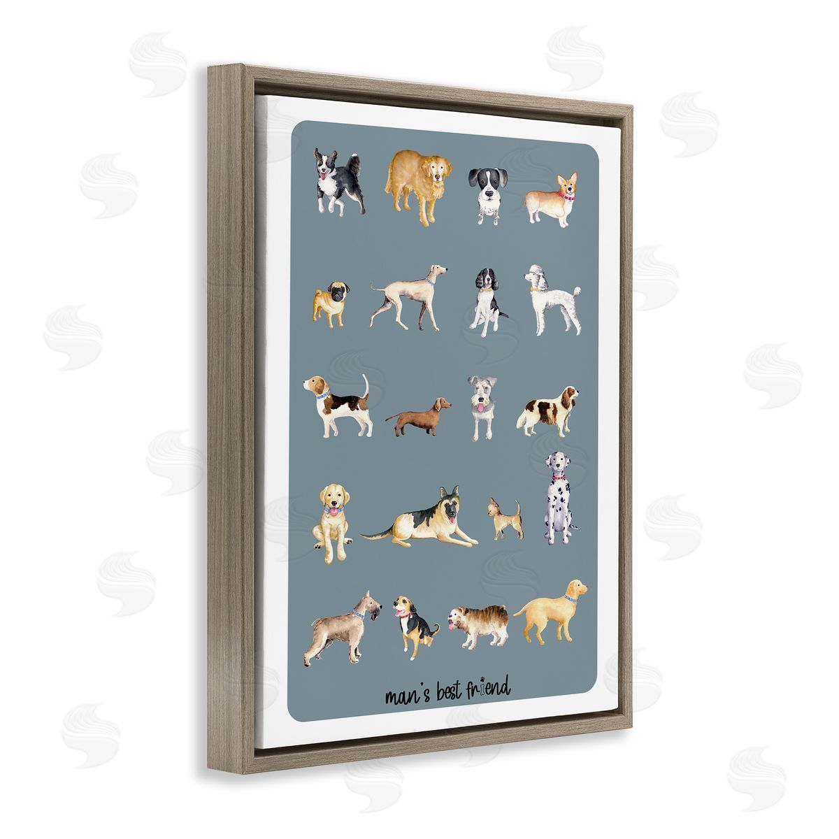 Andi Metz Man's Best fr_sideiend Dog Breeds