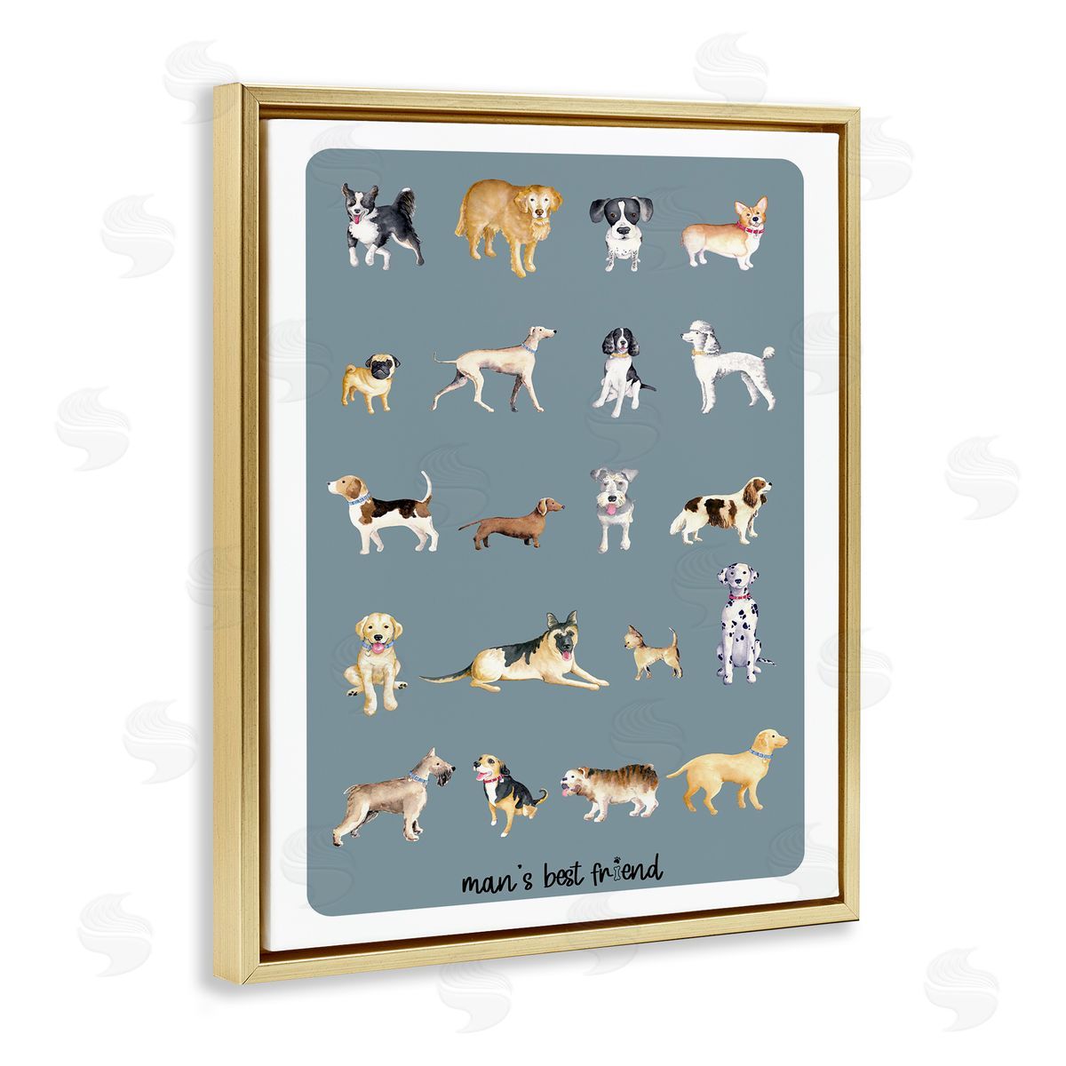 Andi Metz Man's Best fr_sideiend Dog Breeds
