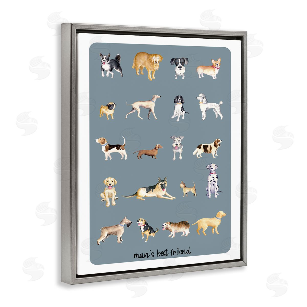 Andi Metz Man's Best fr_sideiend Dog Breeds