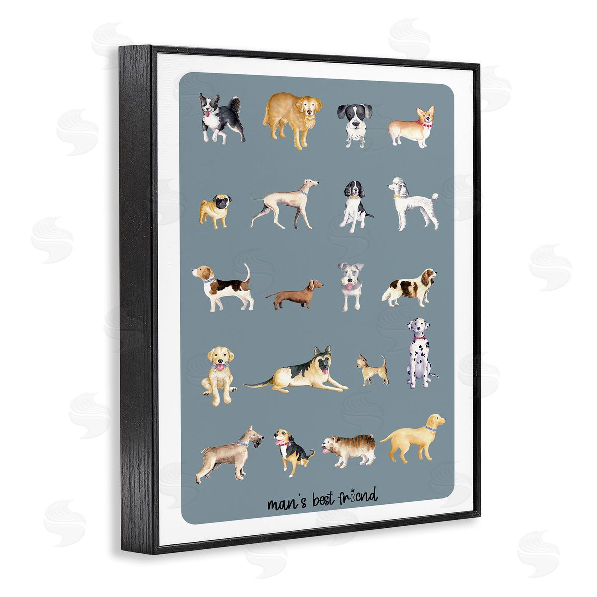 Andi Metz Man's Best fr_sideiend Dog Breeds