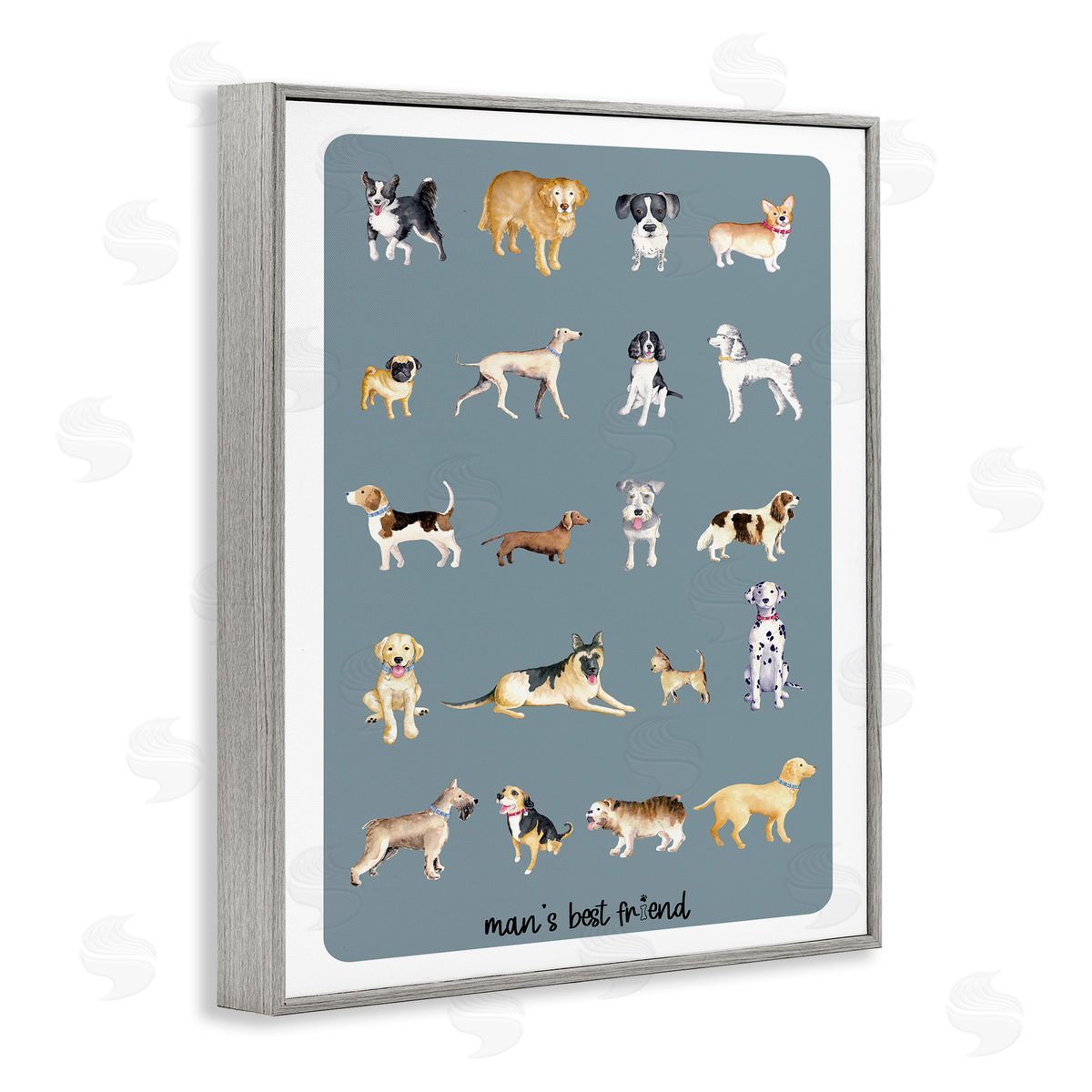 Andi Metz Man's Best fr_sideiend Dog Breeds