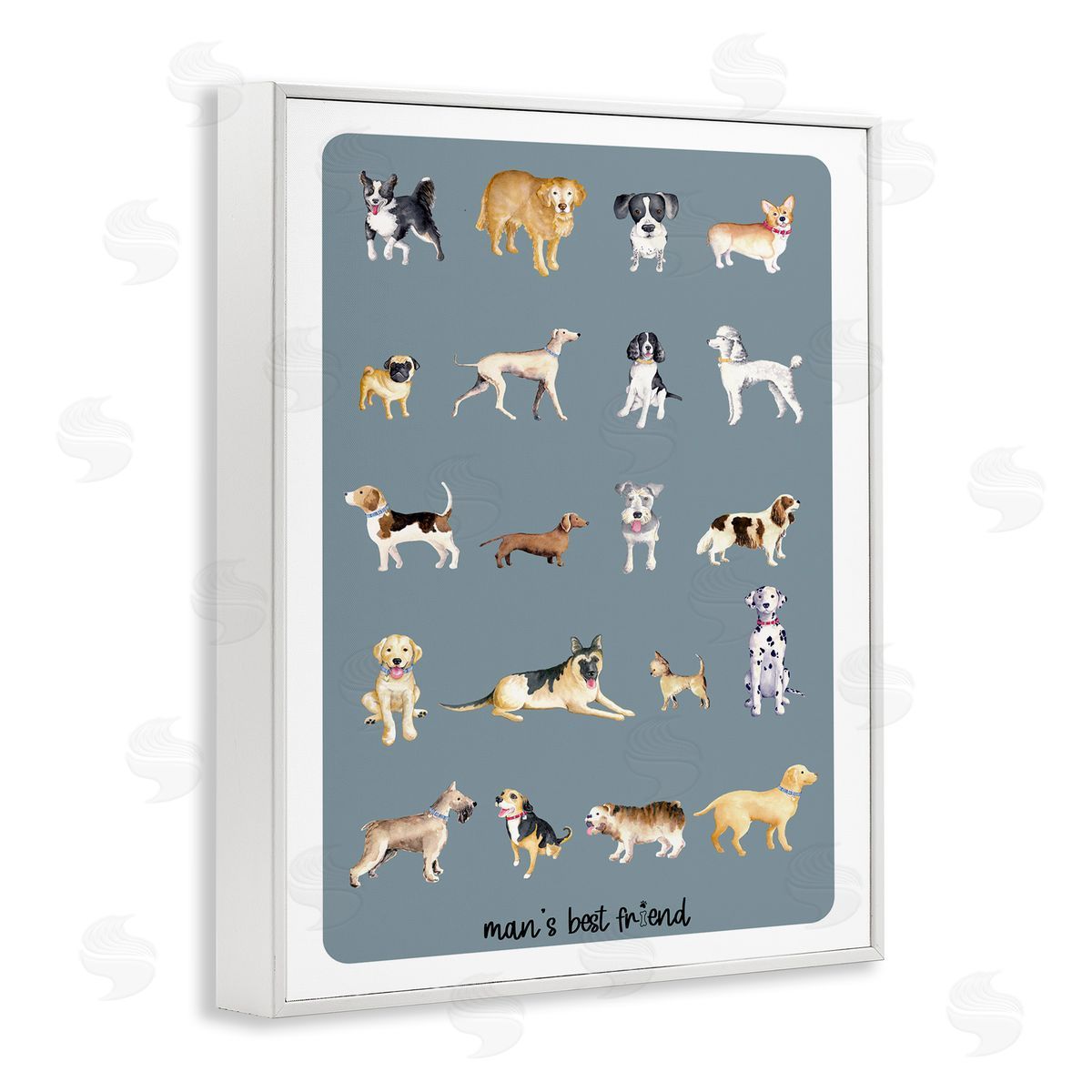 Andi Metz Man's Best fr_sideiend Dog Breeds