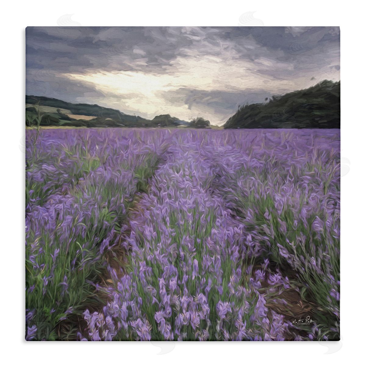 Martin Podt Lavender Fields Sunlit Clouds Stretched Canvas Wall Art Print