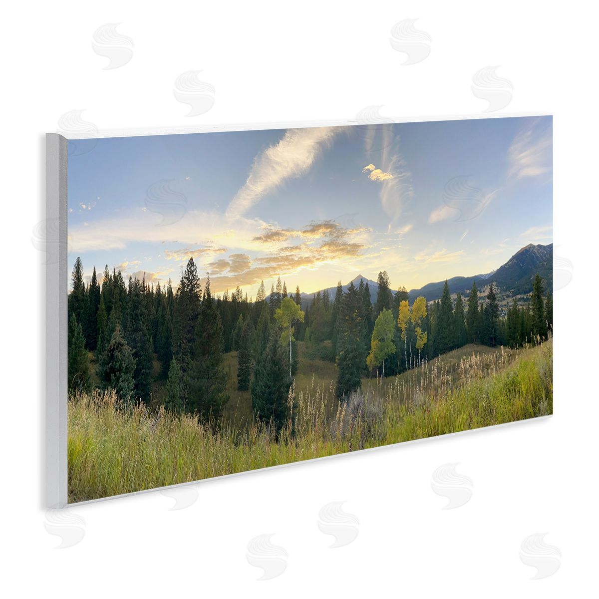 Emily Navas Panoramic Montana Nature Landscape 