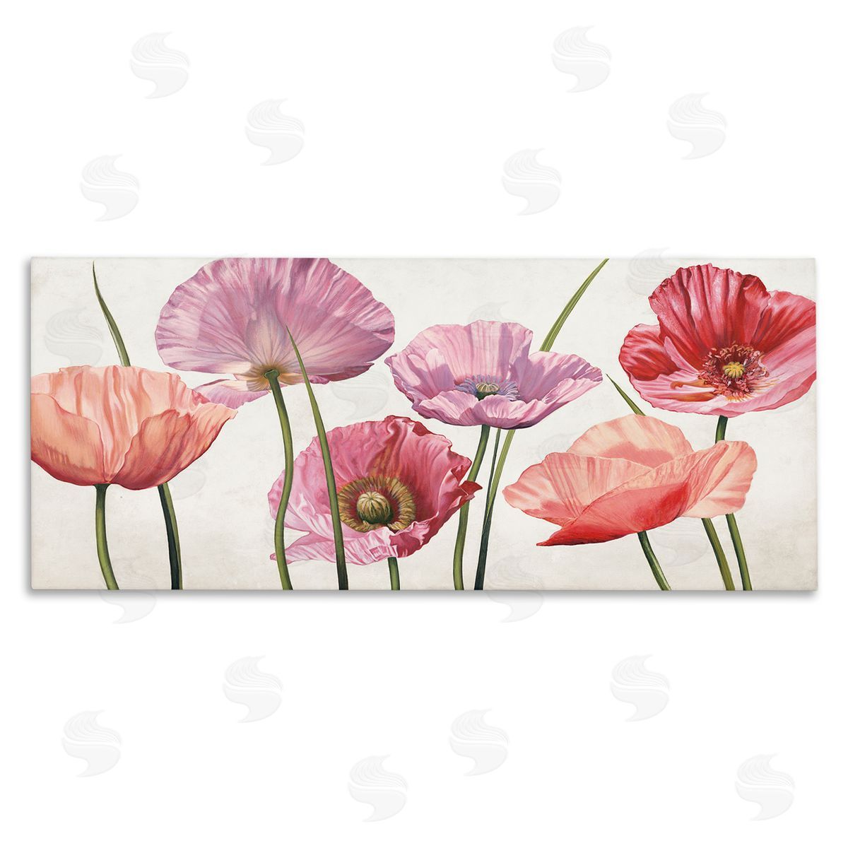 Mixed Poppies with Vivid Petals Canvas Wall Art, Home Decor by Eva Barberini