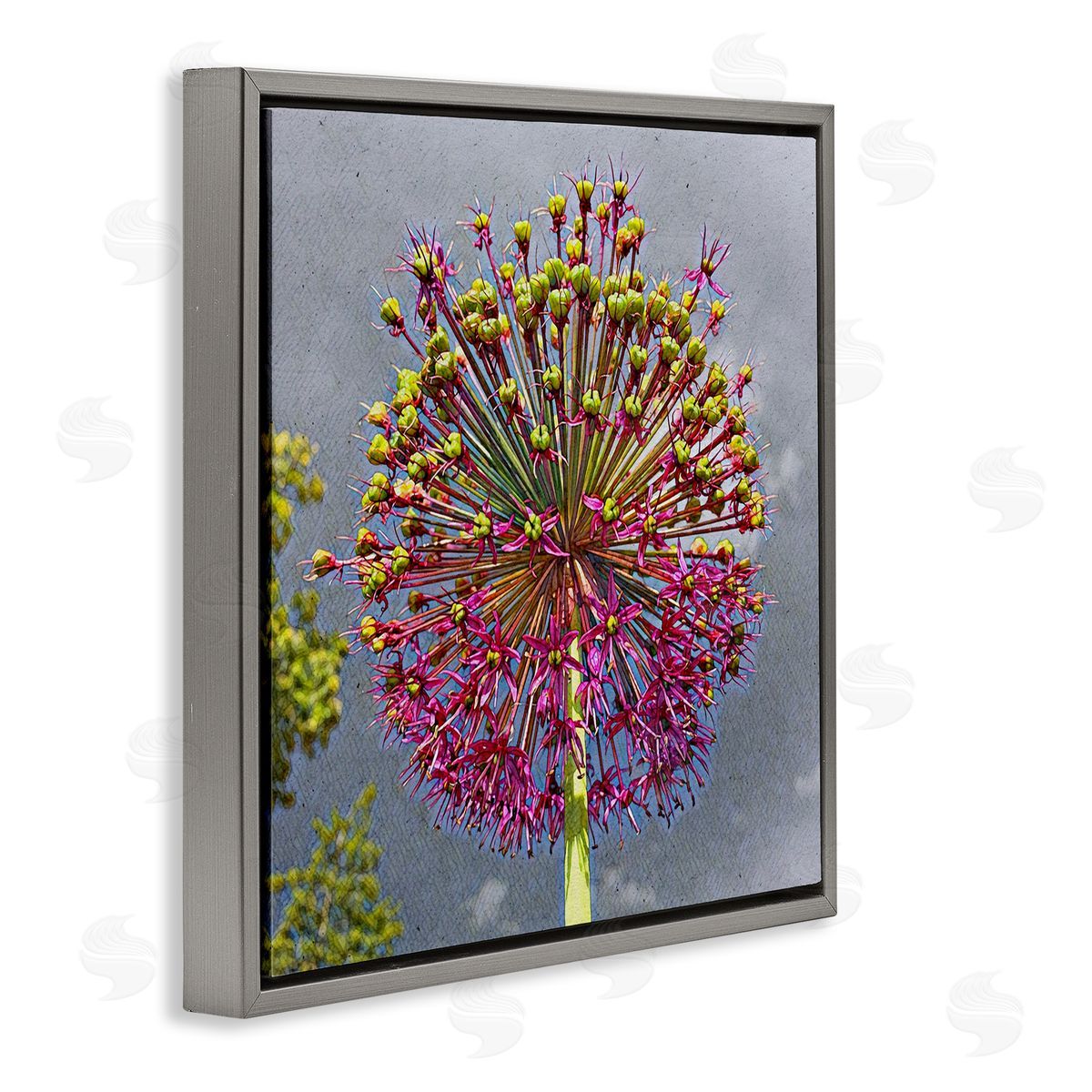 Heidi Bannon Modern Dandelion Pink Abstract Gray Floating Frame Canvas Wall Art Print