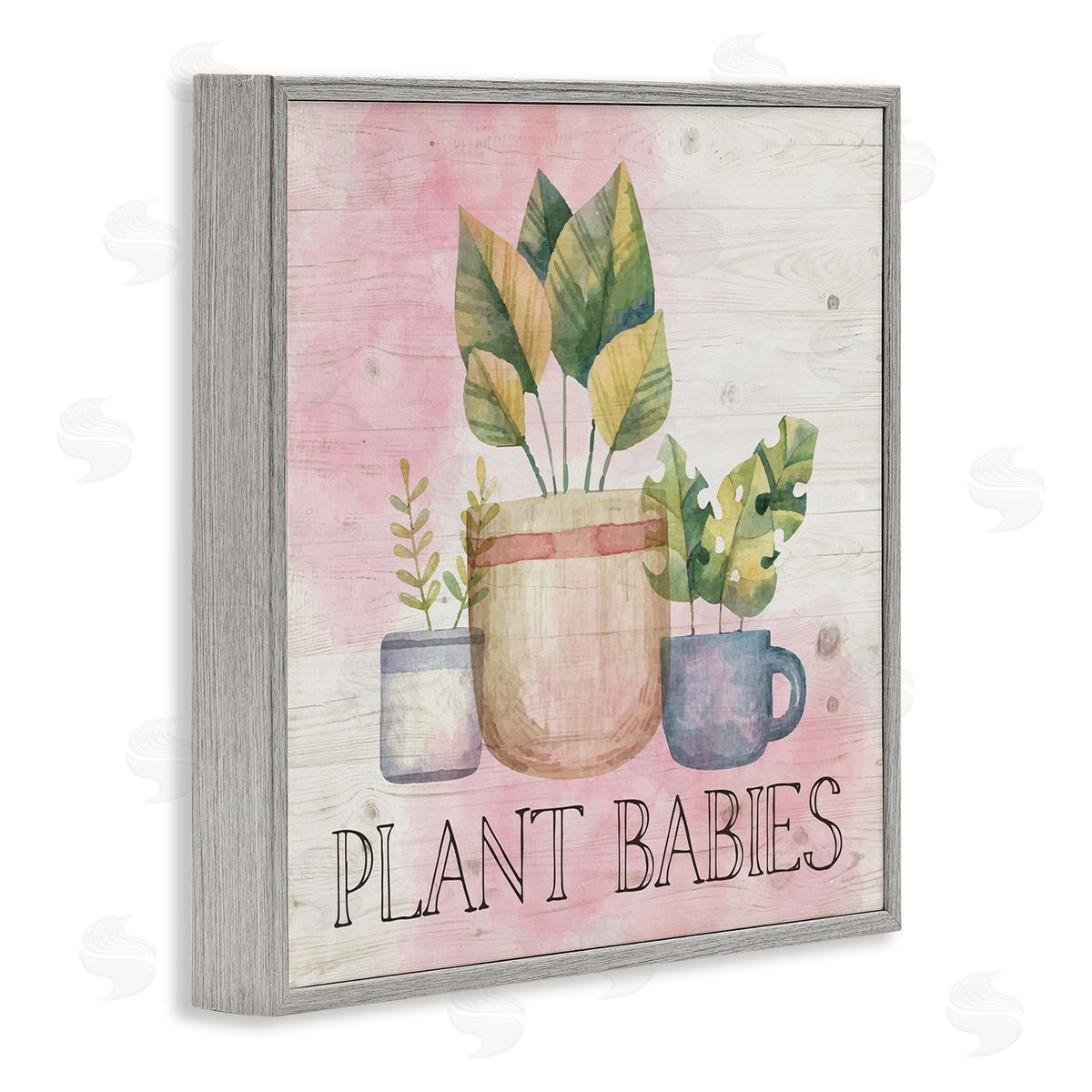 Nicole DeCamp Plant Babies Potted Sprigs Garden Gray Framed Glicee Wall Art Print