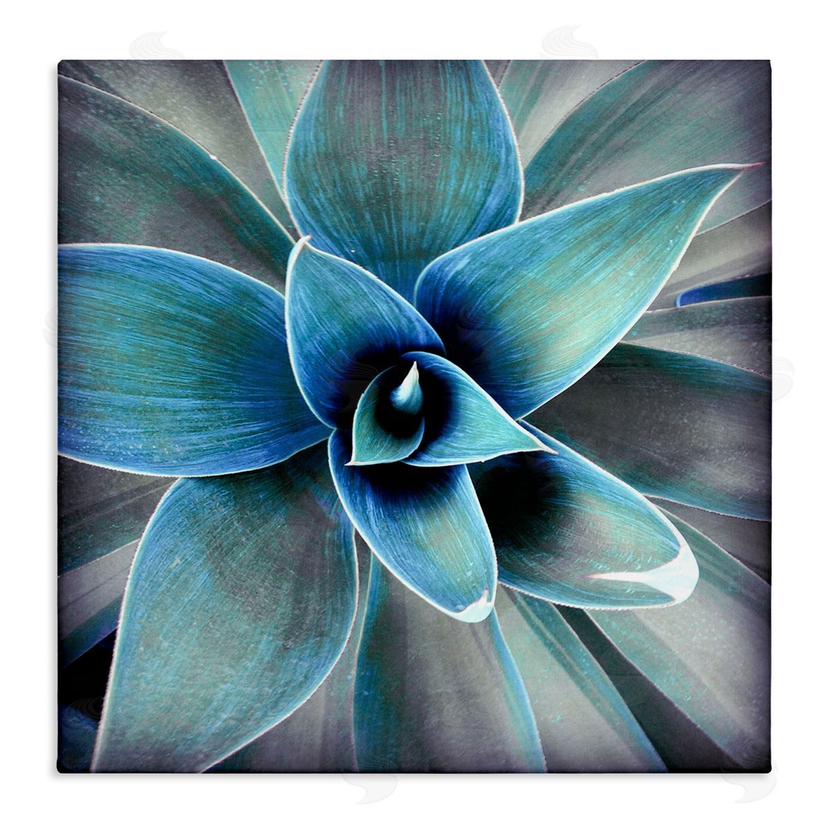 Irena Orlov Modern Close Up Plant Leaves Stretched Canvas Wall Art Print