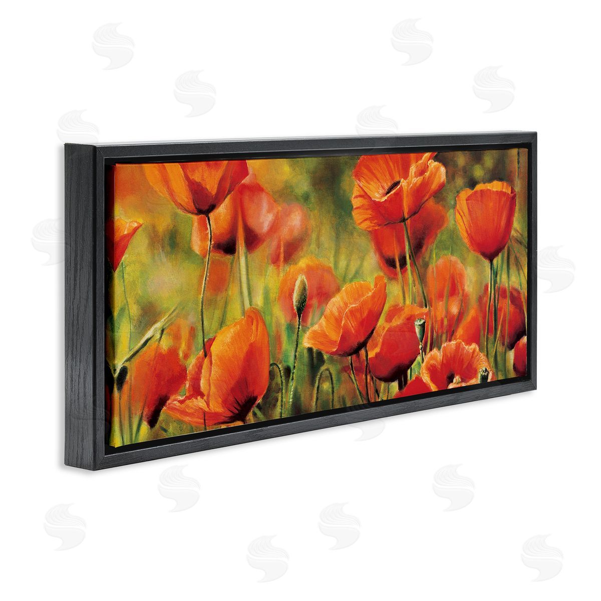 Pierre Viollet Wild Poppy Flowers Spring Blooms