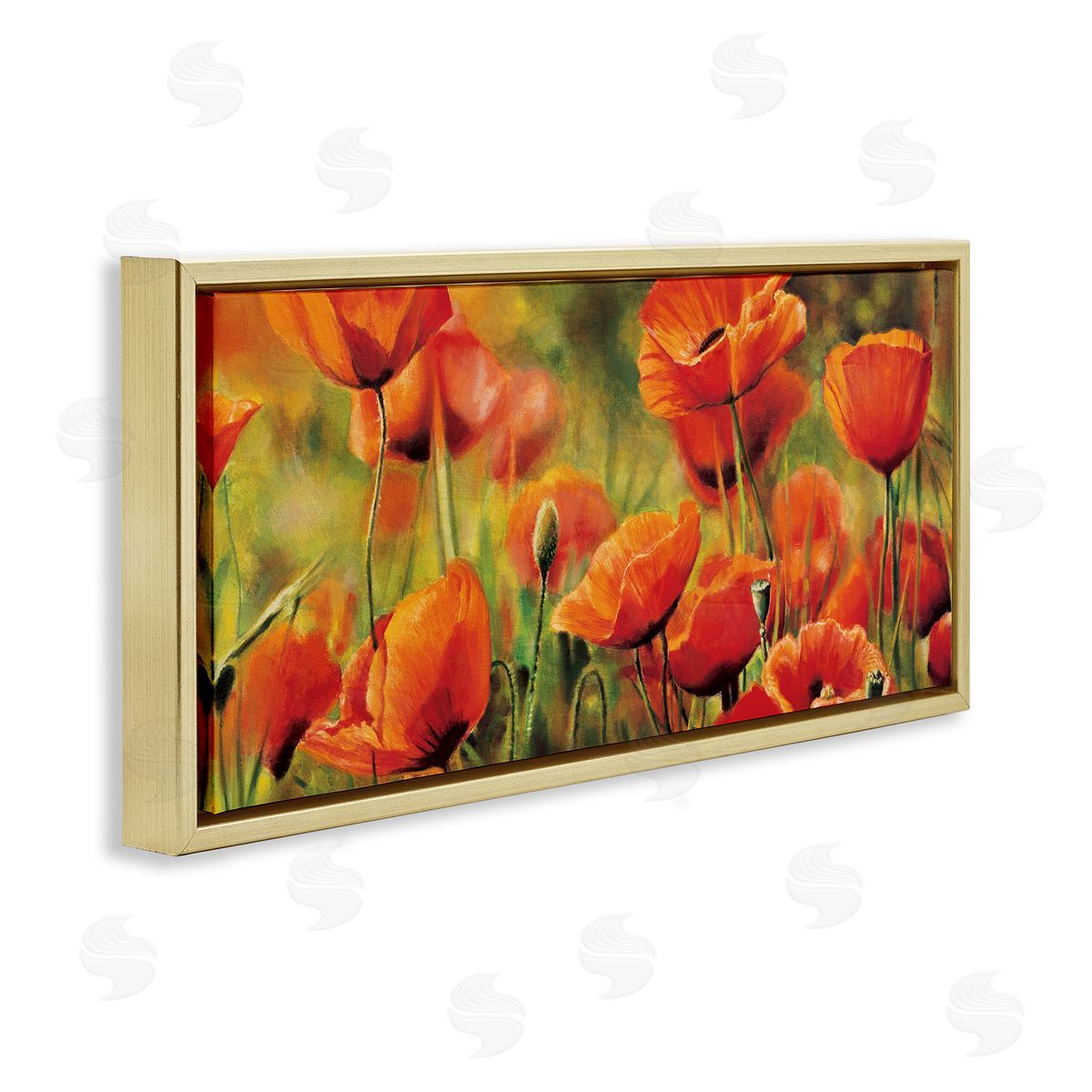 Pierre Viollet Wild Poppy Flowers Spring Blooms