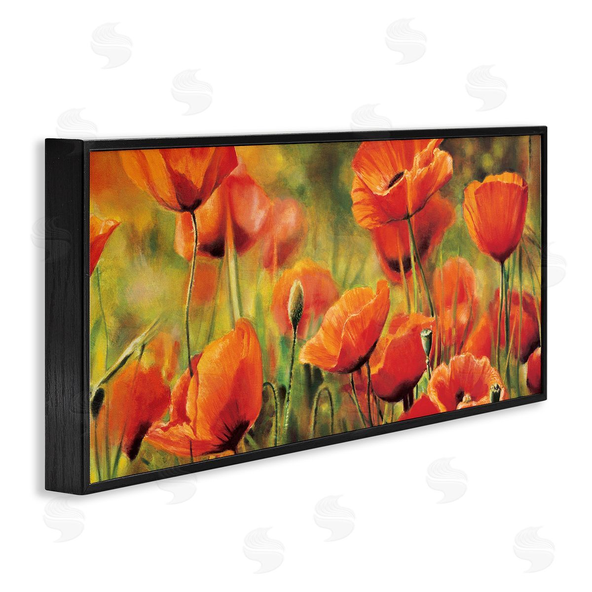 Pierre Viollet Wild Poppy Flowers Spring Blooms