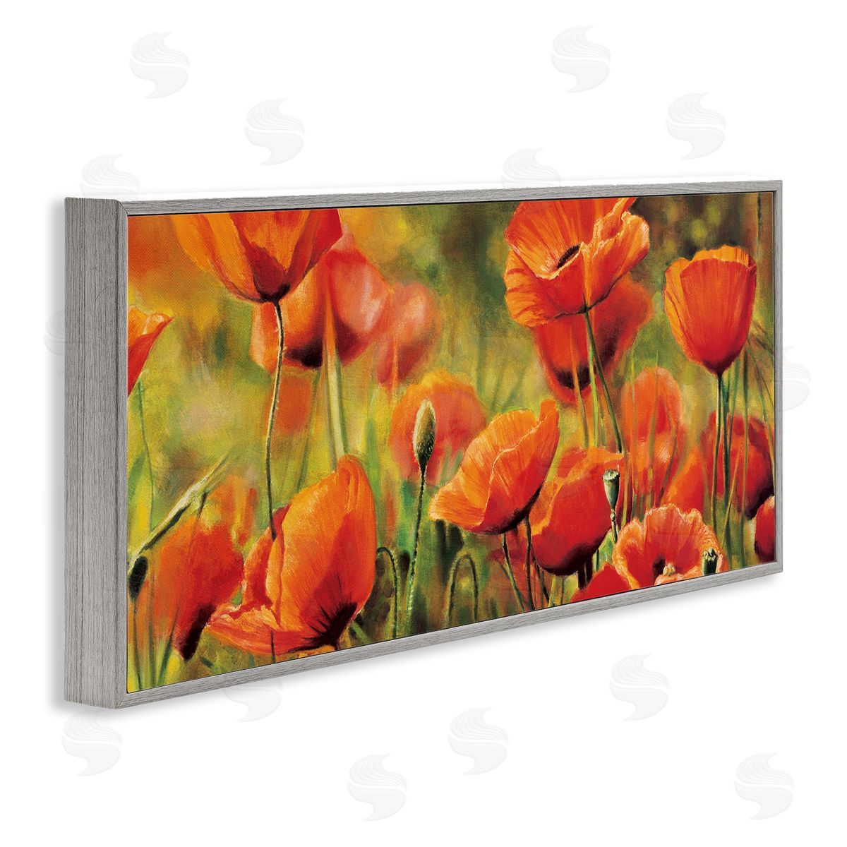 Pierre Viollet Wild Poppy Flowers Spring Blooms