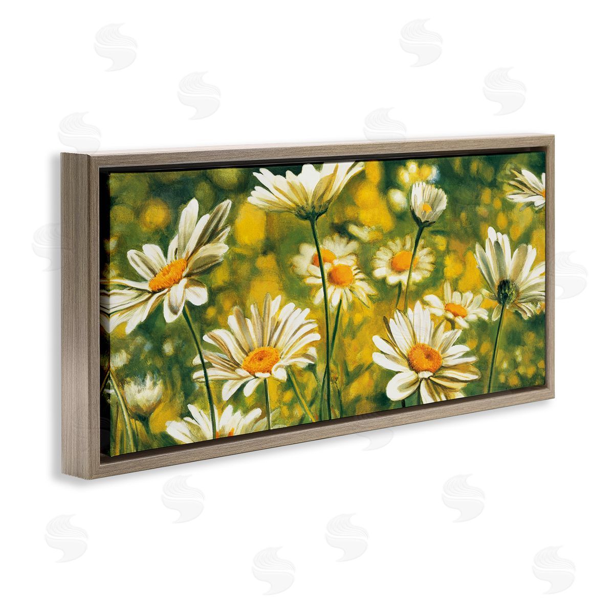 Pierre Viollet Wild Daisies Blooming Nature Garden