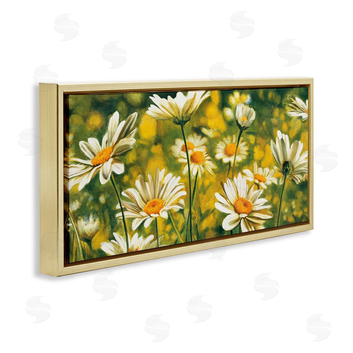 Pierre Viollet Wild Daisies Blooming Nature Garden