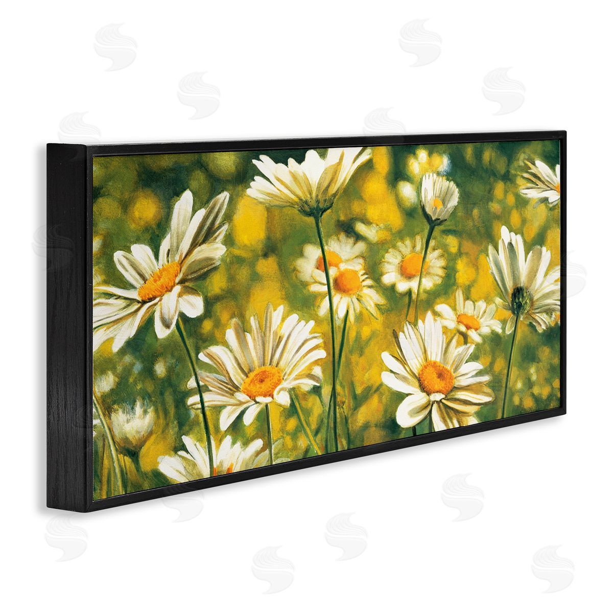 Pierre Viollet Wild Daisies Blooming Nature Garden