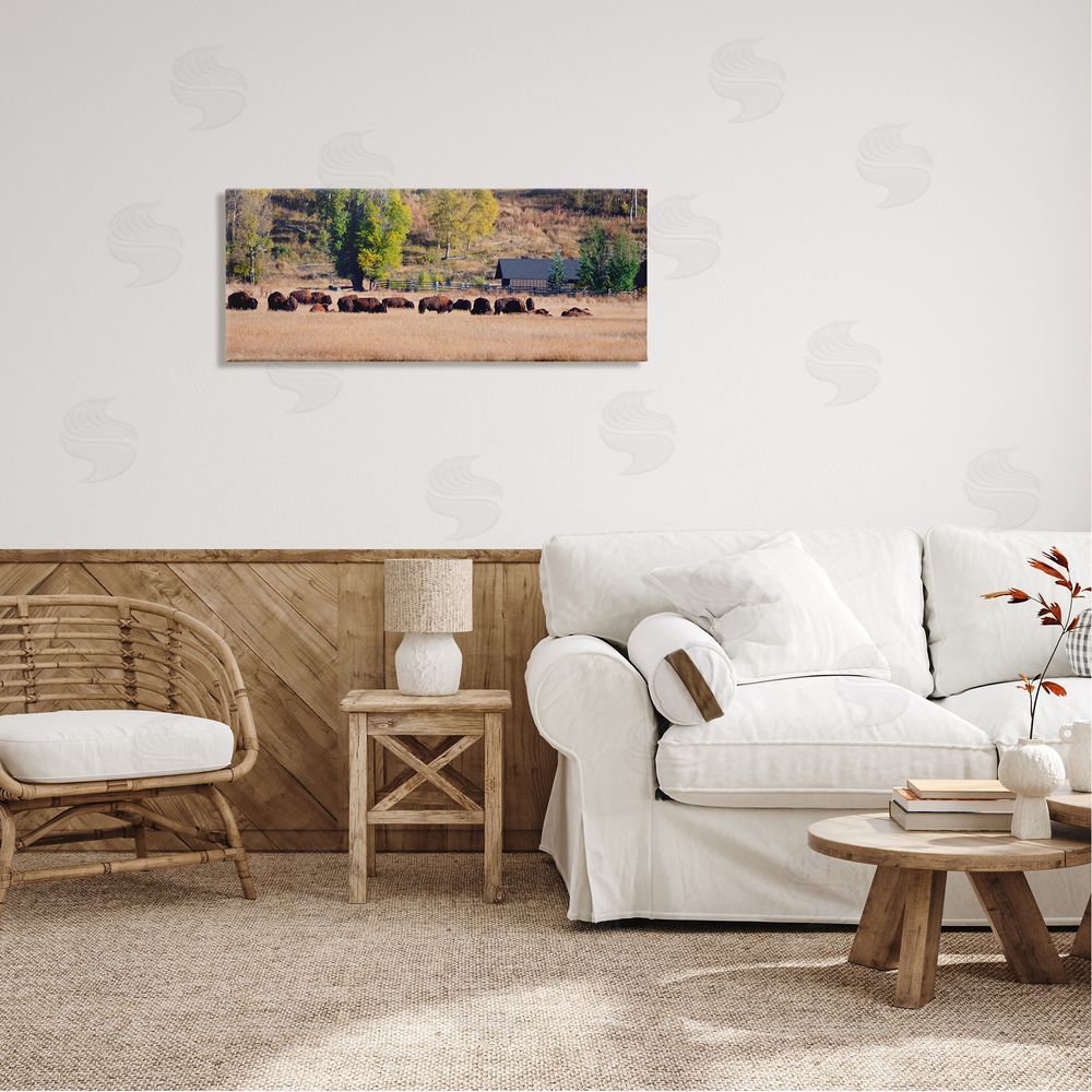 Stede Bonnett Rural Bison Wildlife Pasture