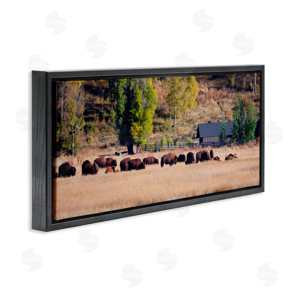 Stede Bonnett Rural Bison Wildlife Pasture