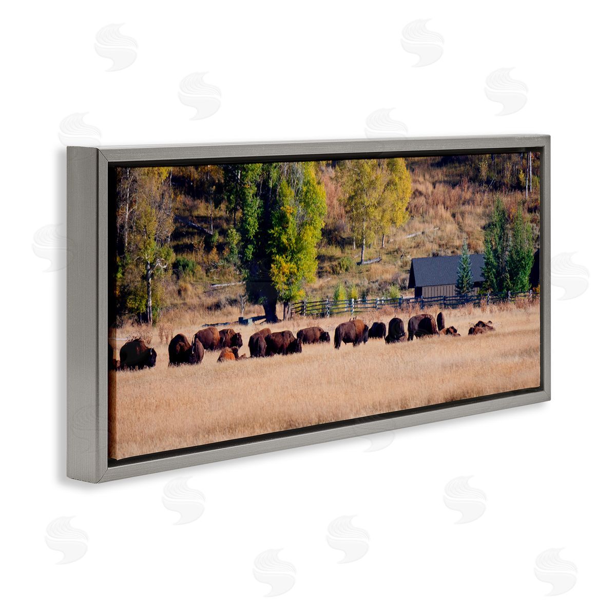 Stede Bonnett Rural Bison Wildlife Pasture