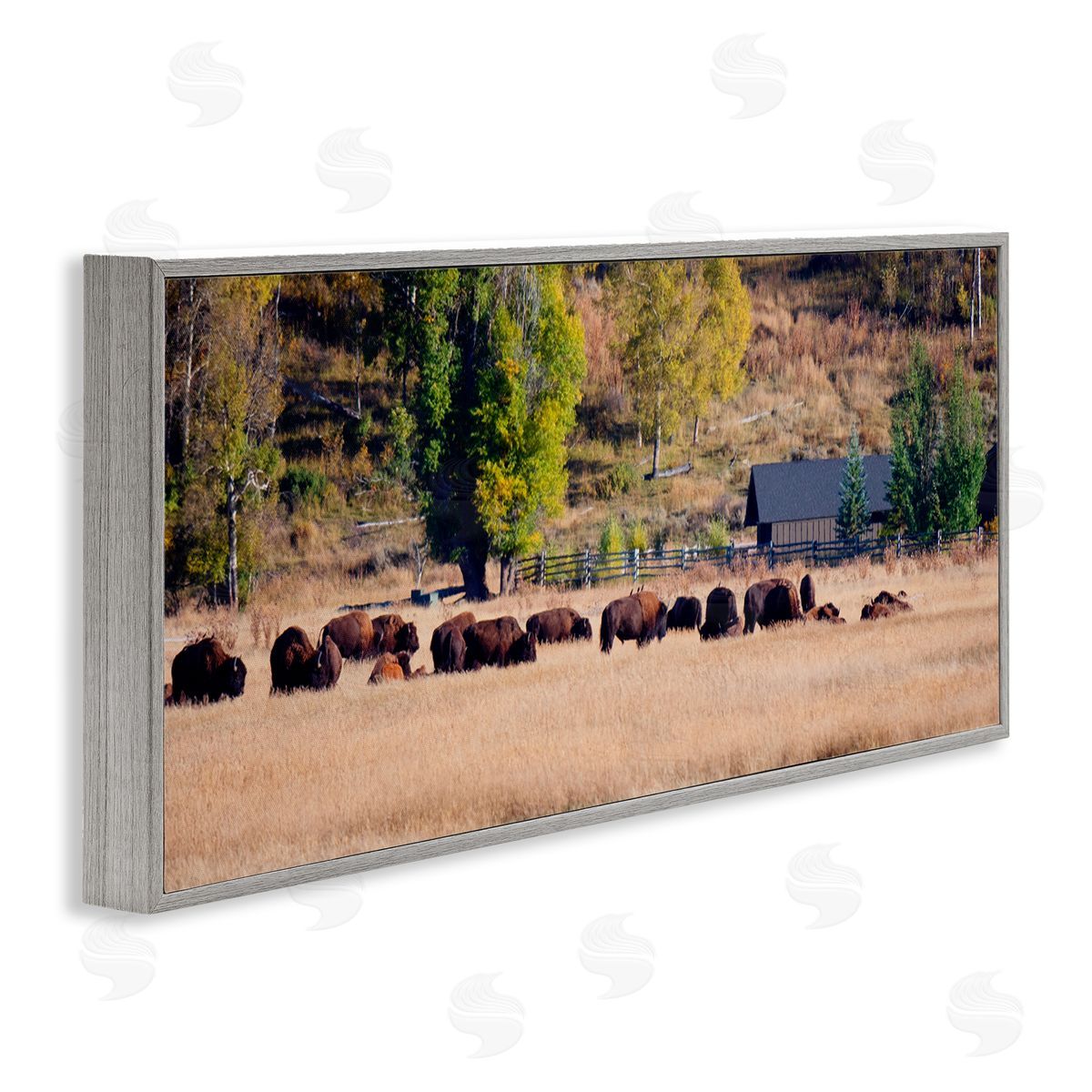 Stede Bonnett Rural Bison Wildlife Pasture