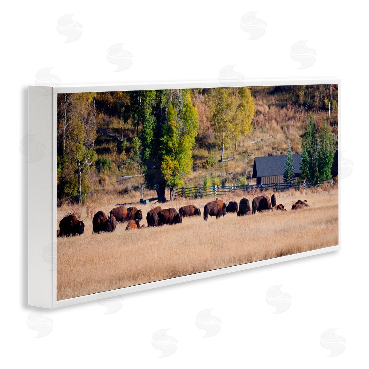 Stede Bonnett Rural Bison Wildlife Pasture