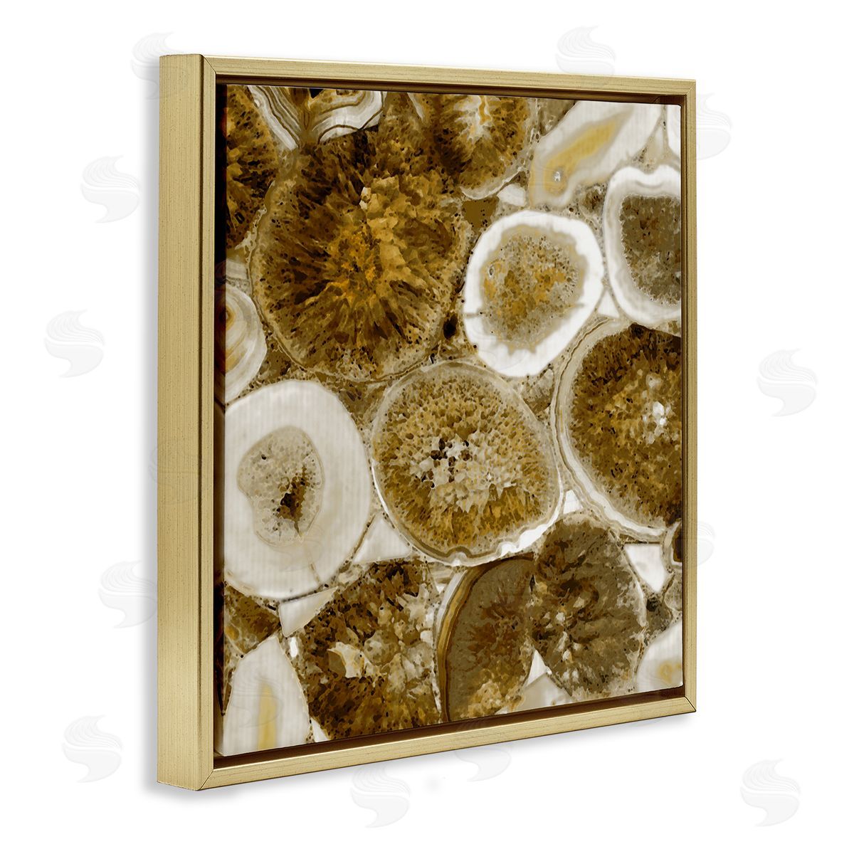 Danielle Carson Natural Geode Crystals Arrangement Gold Floating Frame Canvas Wall Art Print