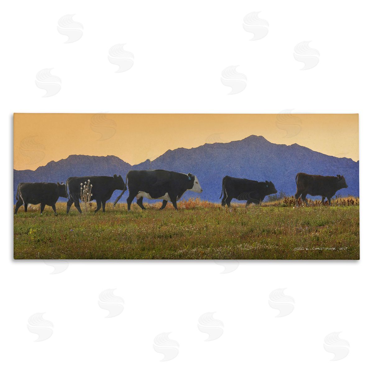 Chris Vest Grazing Cows Country Meadow Mountains Stretched Canvas Wall Art Print
