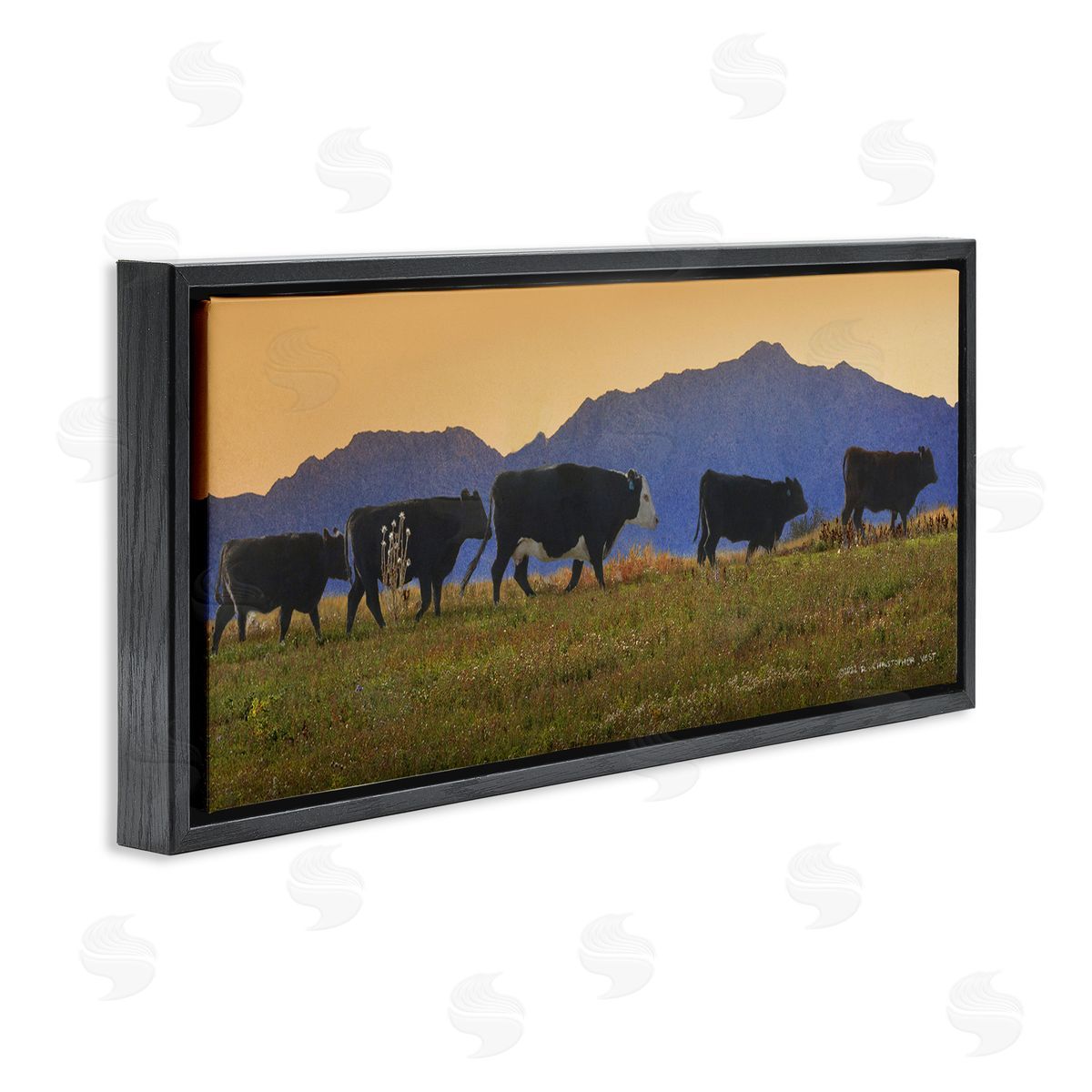 Chris Vest Grazing Cows Country Meadow Mountains Black Floating Frame Canvas Wall Art Print