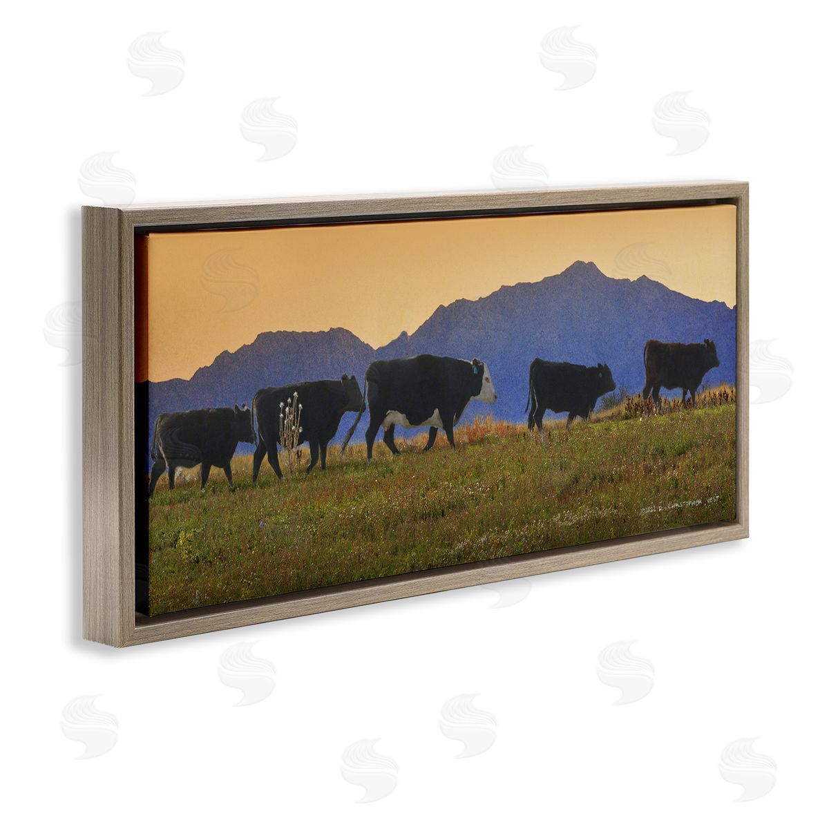 Chris Vest Grazing Cows Country Meadow Mountains Brown Floating Frame Canvas Wall Art Print