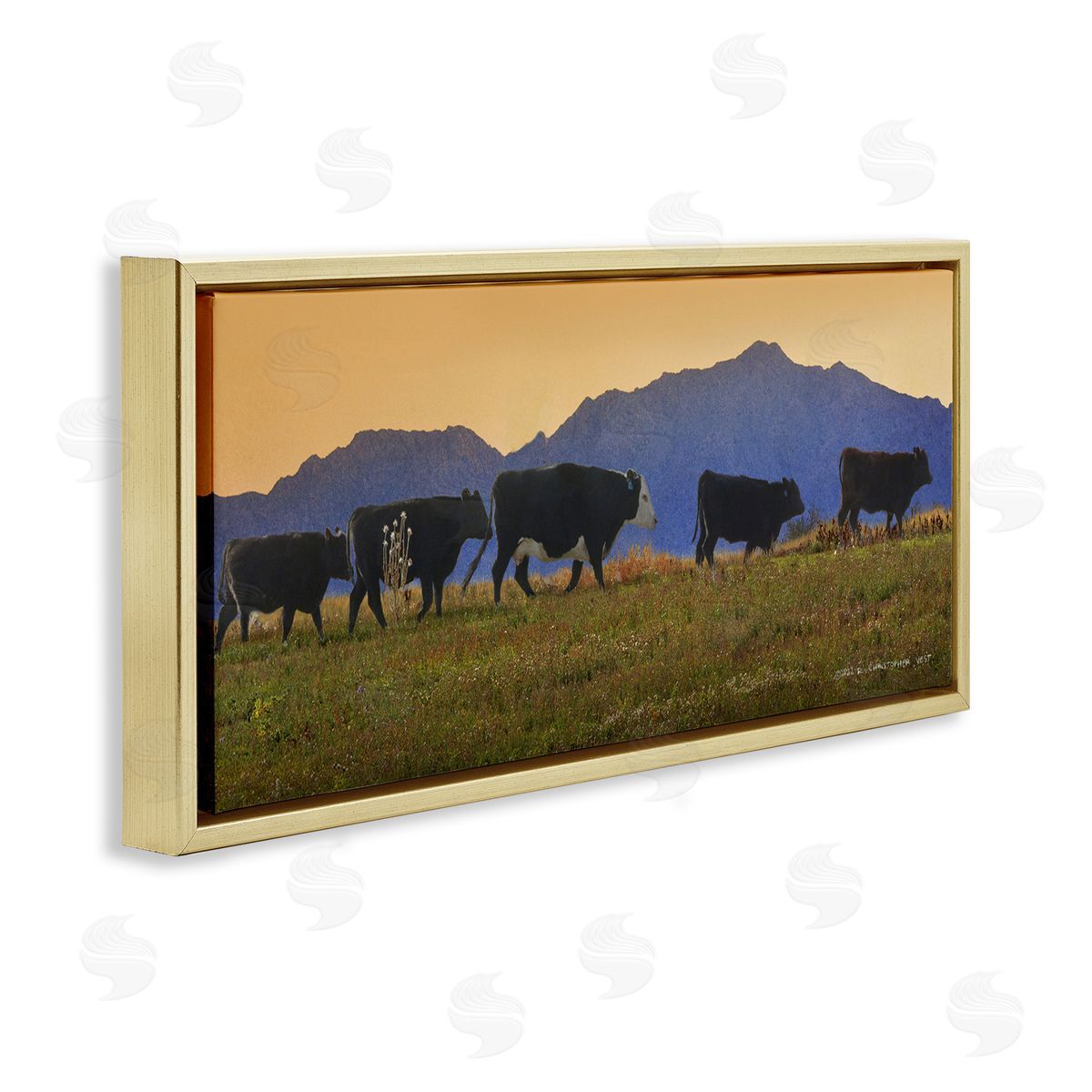 Chris Vest Grazing Cows Country Meadow Mountains Gold Floating Frame Canvas Wall Art Print