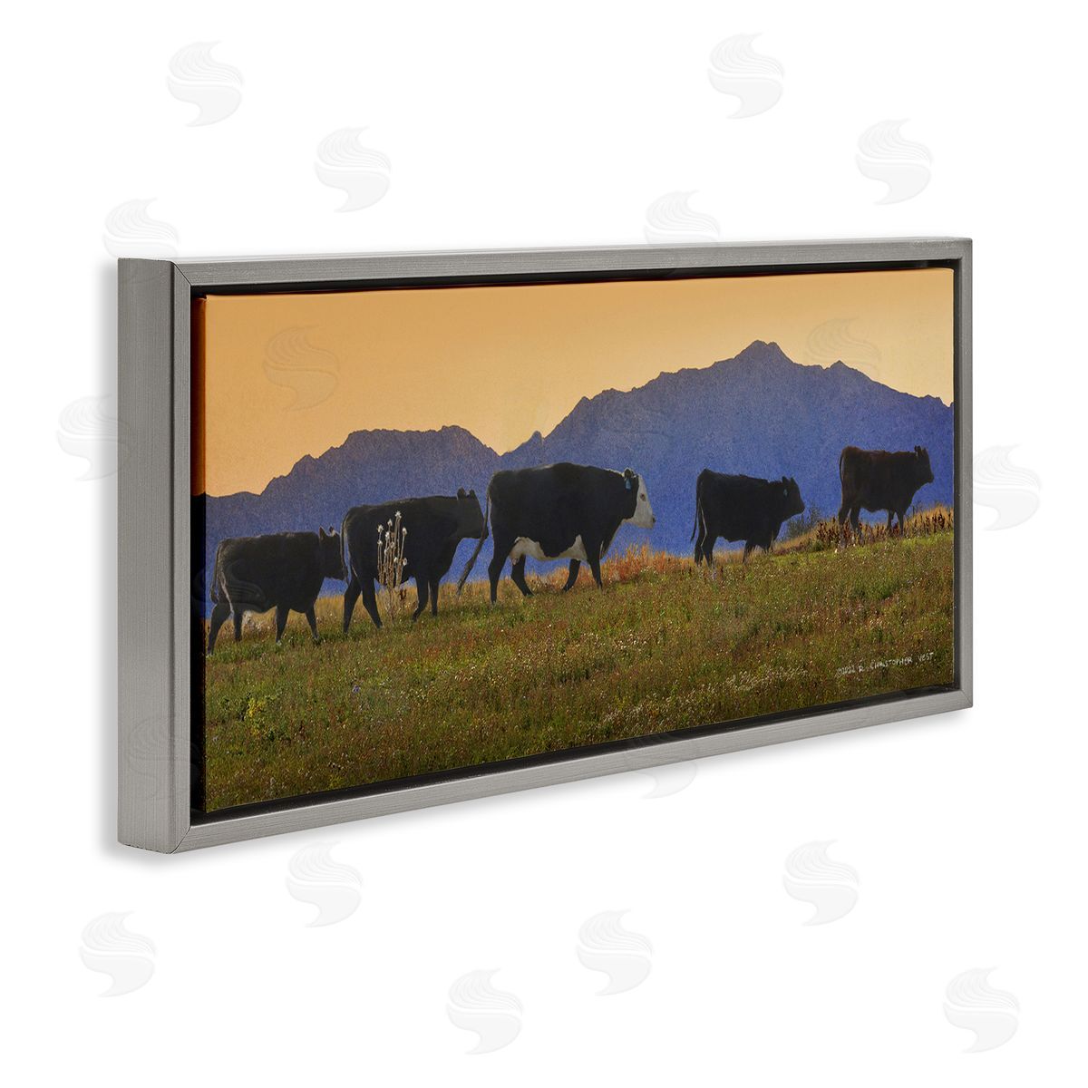 Chris Vest Grazing Cows Country Meadow Mountains Gray Floating Frame Canvas Wall Art Print