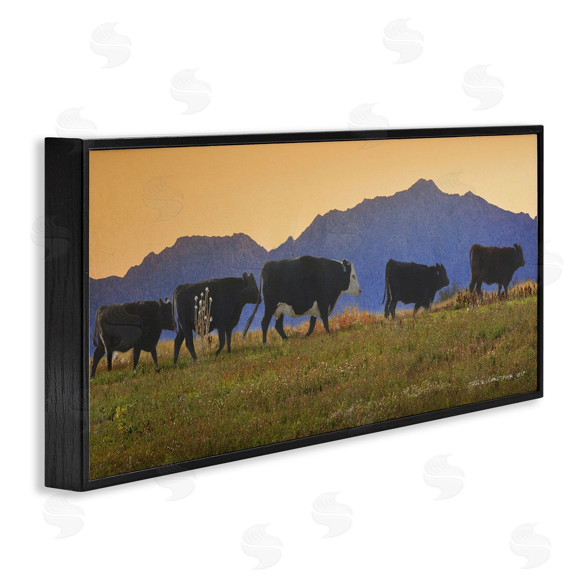 Chris Vest Grazing Cows Country Meadow Mountains Black Framed Glicee Wall Art Print