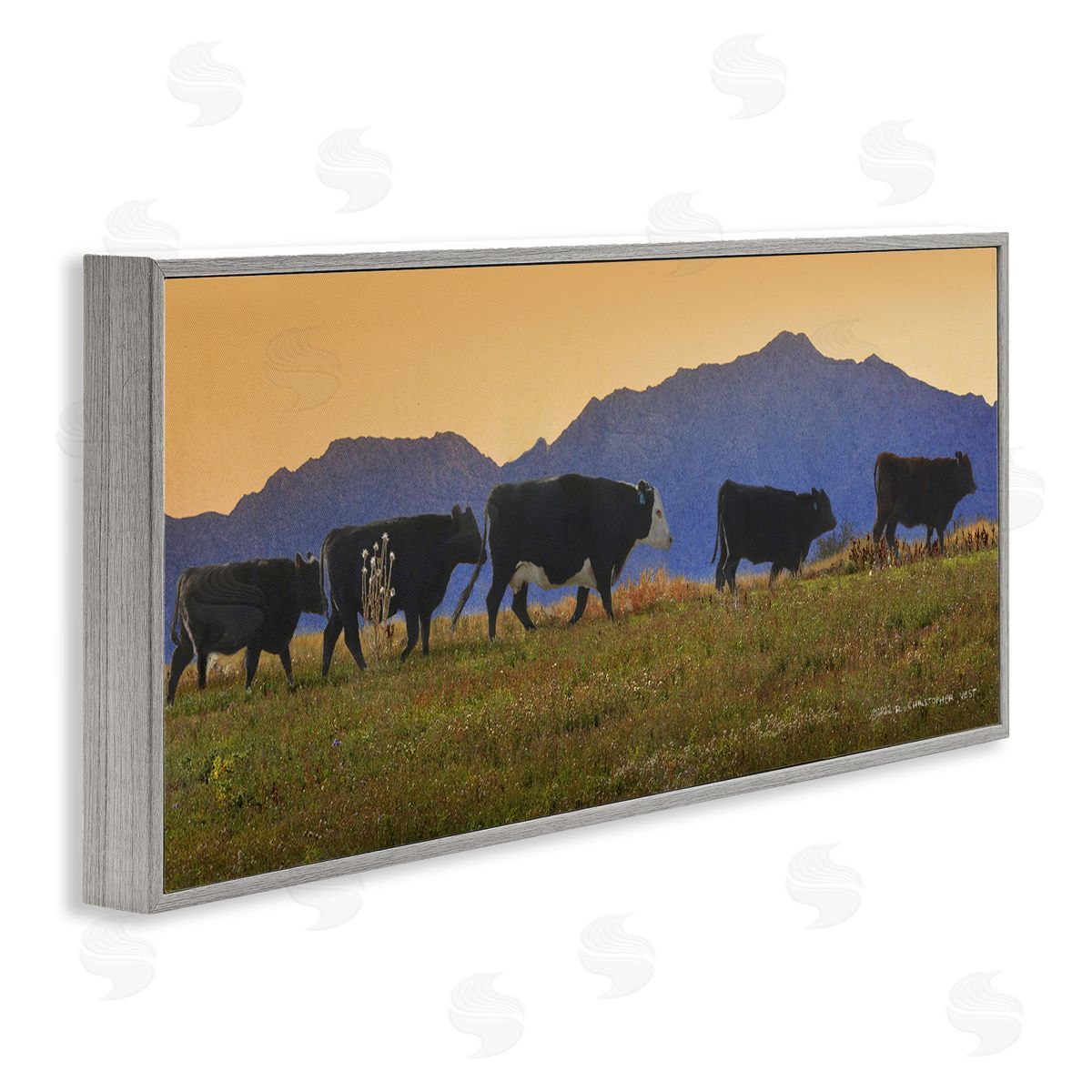 Chris Vest Grazing Cows Country Meadow Mountains Gray Framed Glicee Wall Art Print