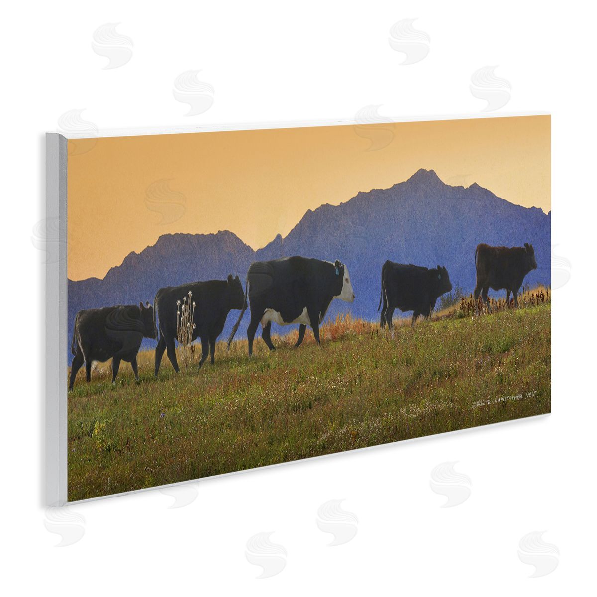 Chris Vest Grazing Cows Country Meadow Mountains Wooden Wall Plaque Art Print