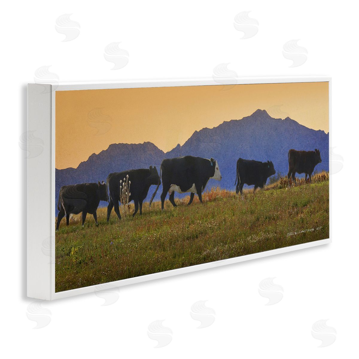 Chris Vest Grazing Cows Country Meadow Mountains White Framed Glicee Wall Art Print