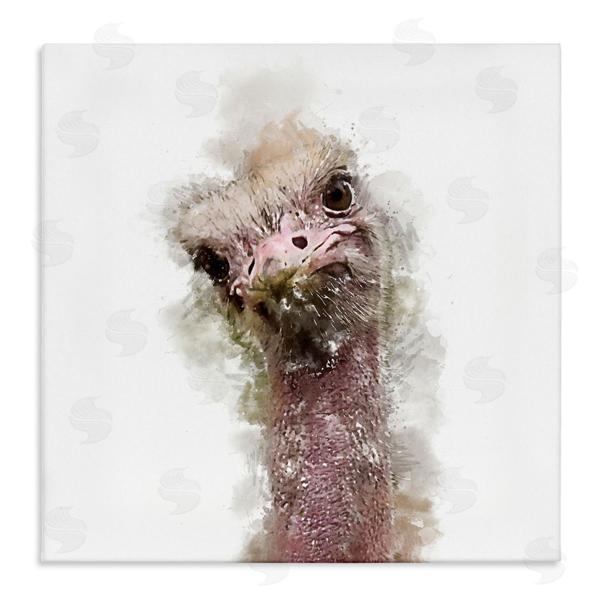 Kim Curinga Curious Ostrich Face Portrait Stretched Canvas Wall Art Print