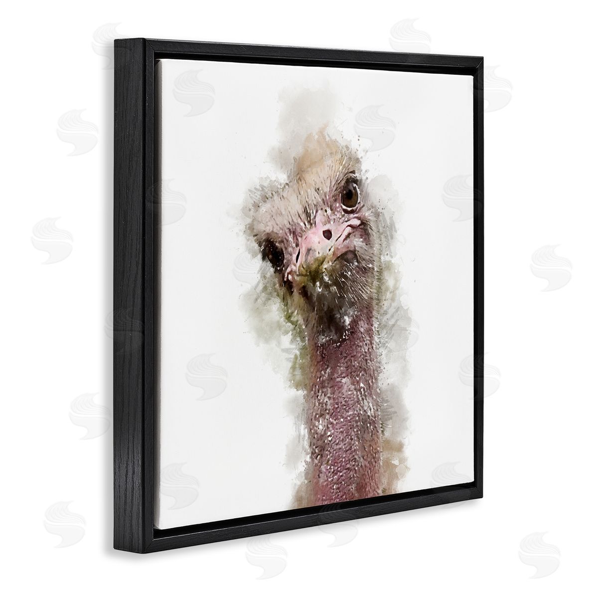 Kim Curinga Curious Ostrich Face Portrait Black Floating Frame Canvas Wall Art Print