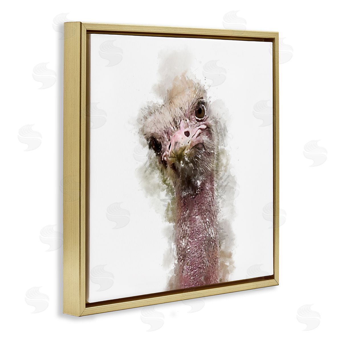 Kim Curinga Curious Ostrich Face Portrait Gold Floating Frame Canvas Wall Art Print