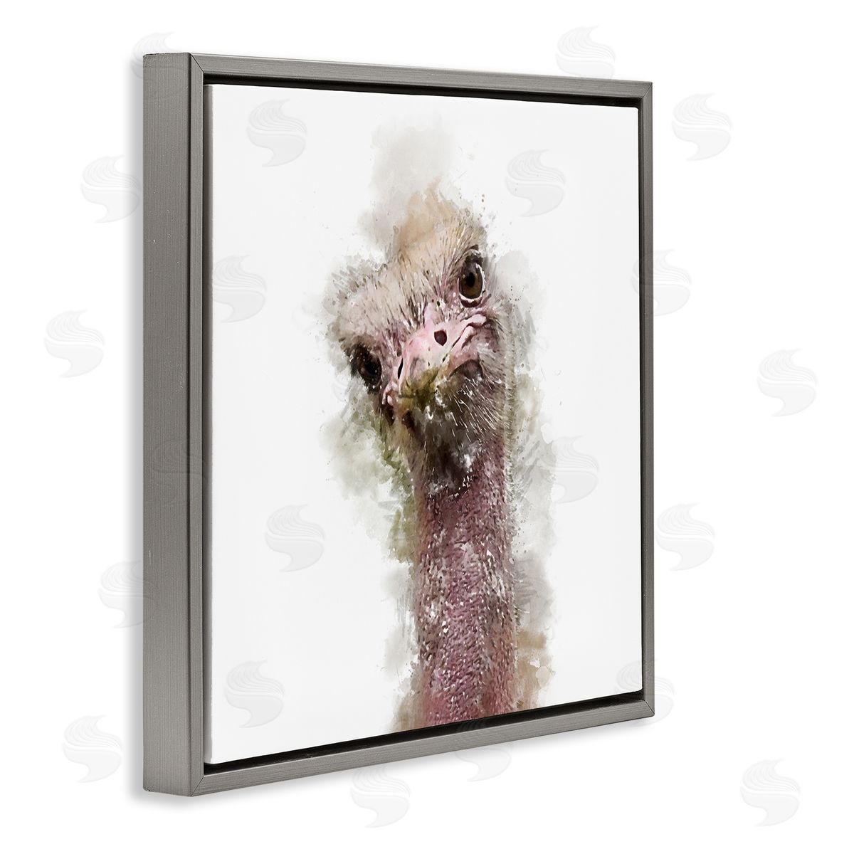 Kim Curinga Curious Ostrich Face Portrait Gray Floating Frame Canvas Wall Art Print
