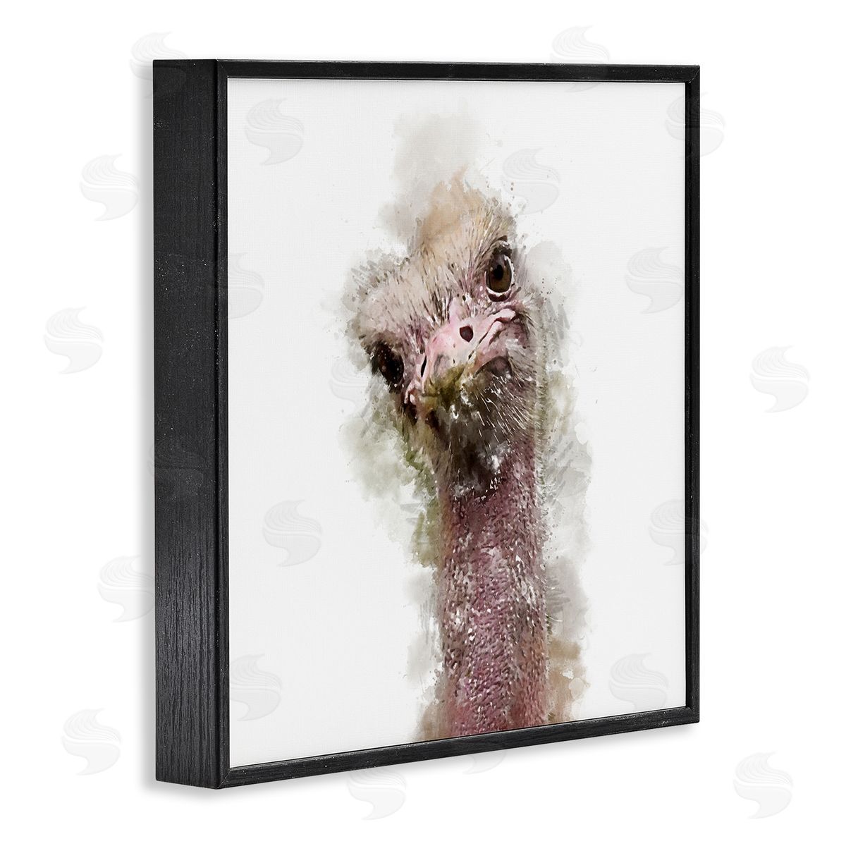 Kim Curinga Curious Ostrich Face Portrait Black Framed Glicee Wall Art Print
