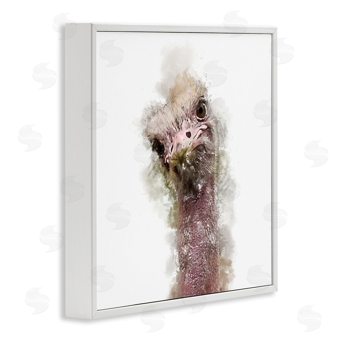 Kim Curinga Curious Ostrich Face Portrait White Framed Glicee Wall Art Print