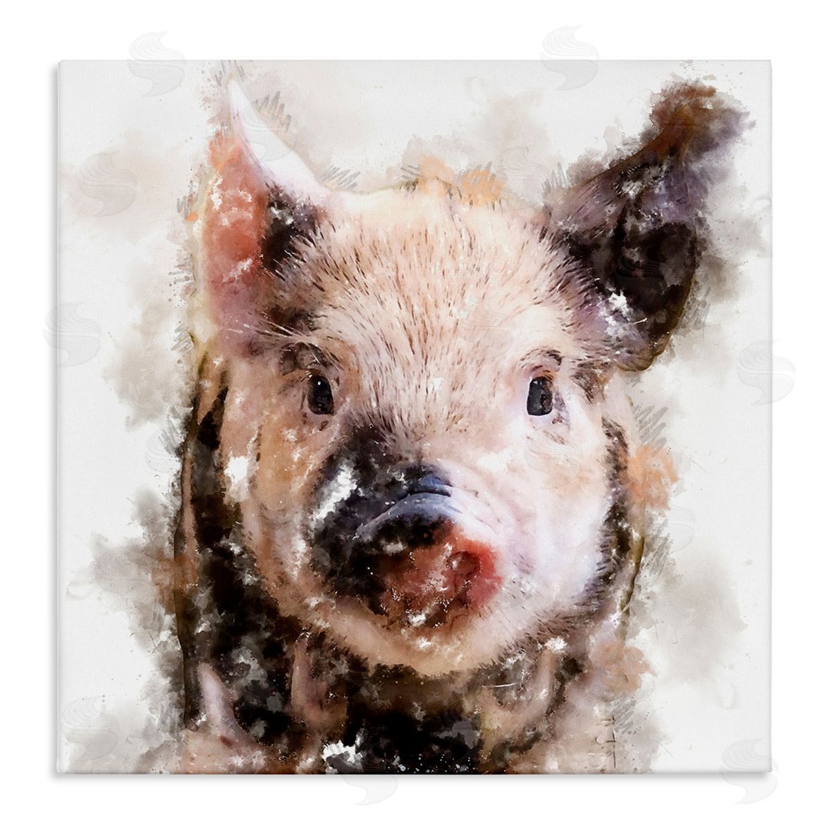 Kim Curinga Baby Pig Face Abstract Portrait Stretched Canvas Wall Art Print