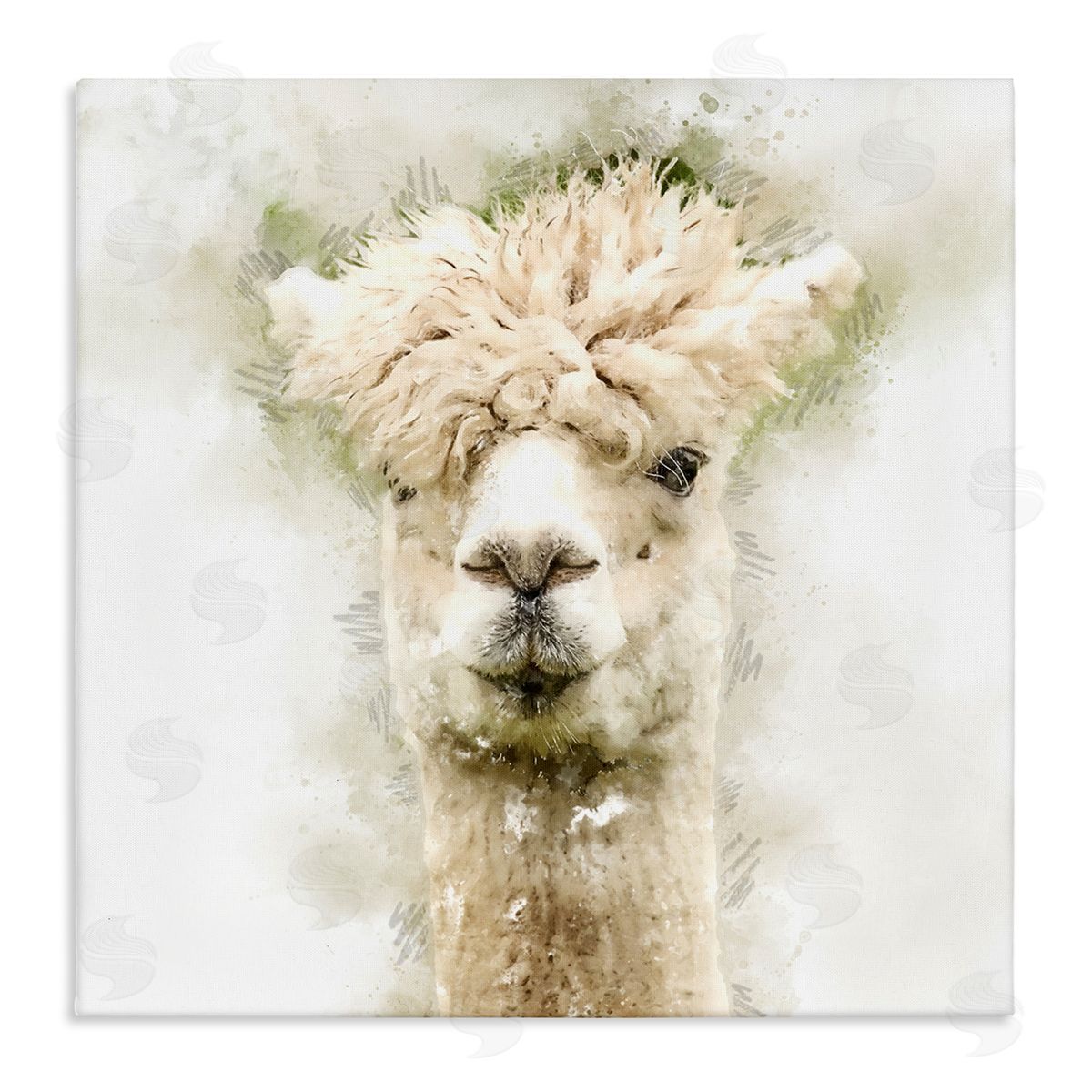 Kim Curinga Alpaca Portrait Abstract Animal Stretched Canvas Wall Art Print