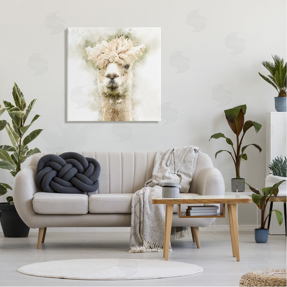 Kim Curinga Alpaca Portrait Abstract Animal Canvas Wall Art in Room