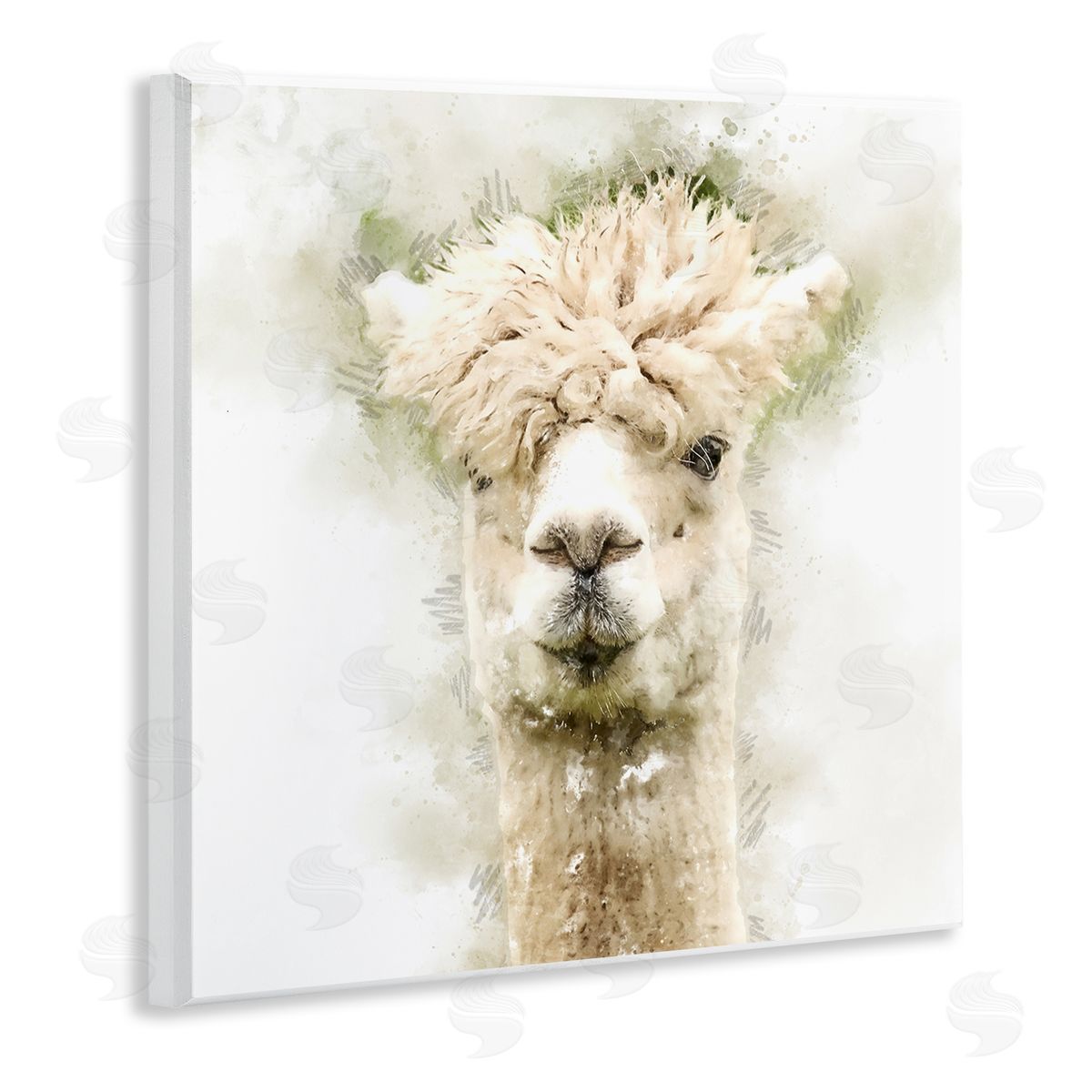 Kim Curinga Alpaca Portrait Abstract Animal Wooden Wall Plaque Art Print